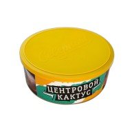 Северный Центровой Кактус