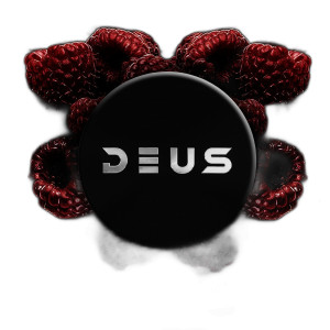 Табак Deus Raspberry