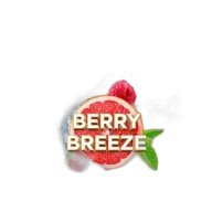 Element V Пятый Элемент Berry Breeze