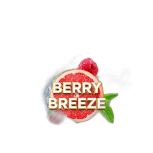 Табак Element V Пятый Элемент Berry Breeze