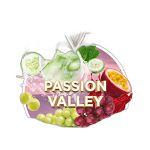 Табак Element V Пятый Элемент Passion Valley