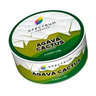 Spectrum Agava Cactus