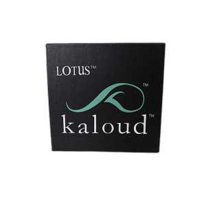 Контроллер жара Lotus Реплика