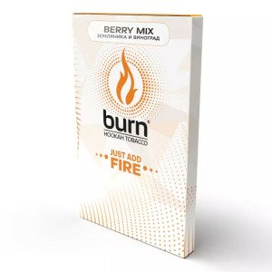 Табак Burn Berry Mix