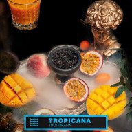 Element Вода Tropicana