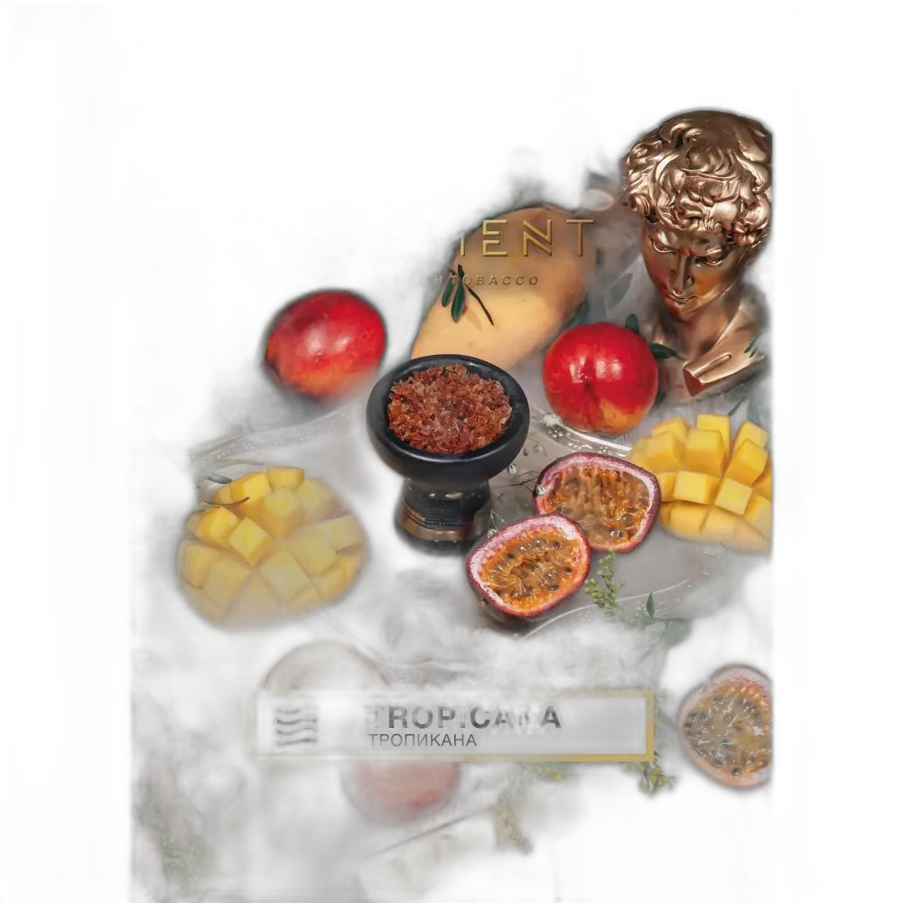 Табак Element Воздух Tropicana