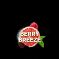 Element V Пятый Элемент Berry Breeze