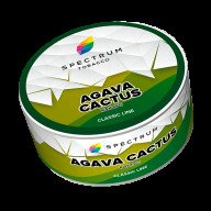 Spectrum Agava Cactus